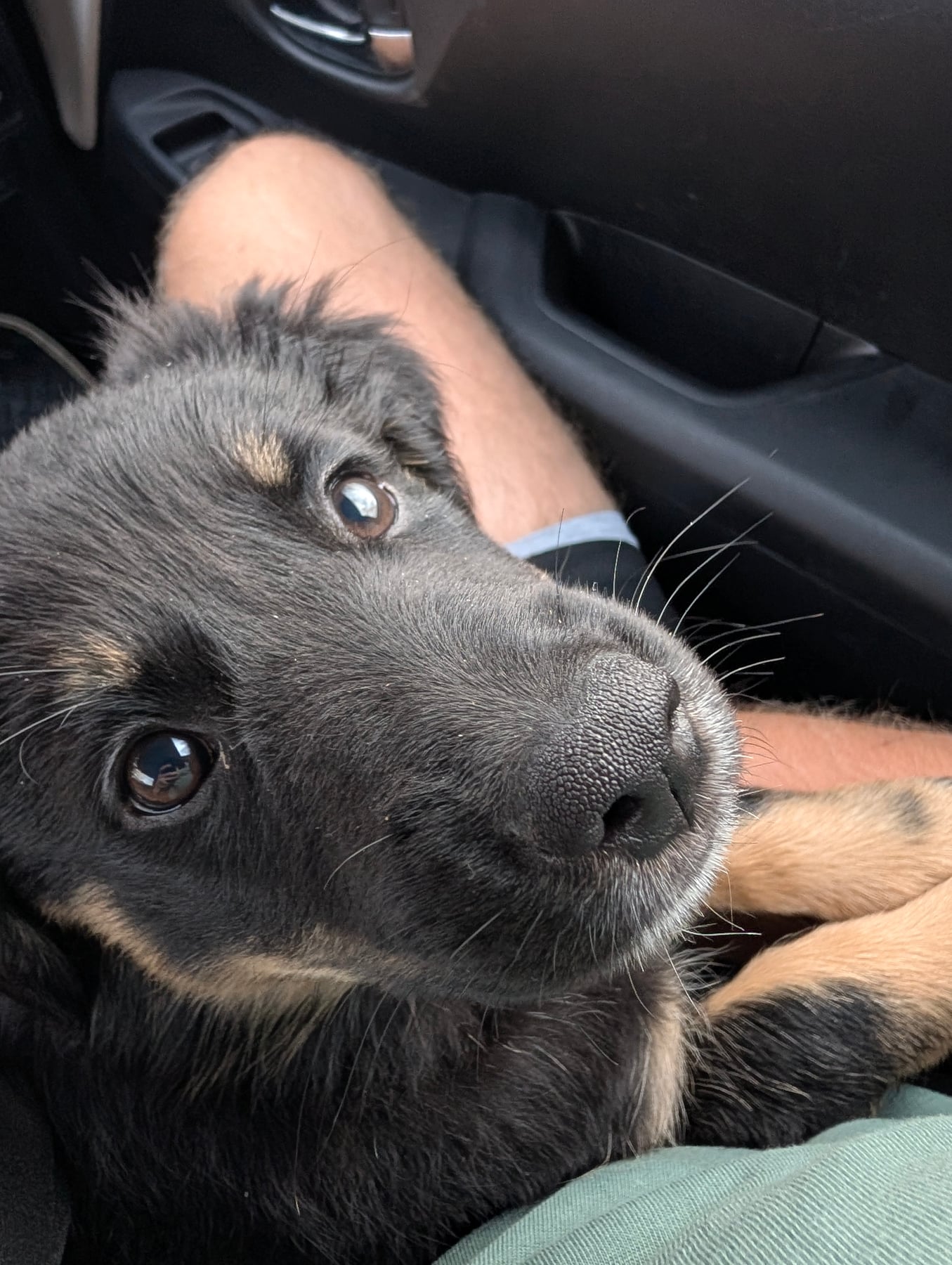 Annie's face right up against the camera in the car, a hand resting on a leg beside her