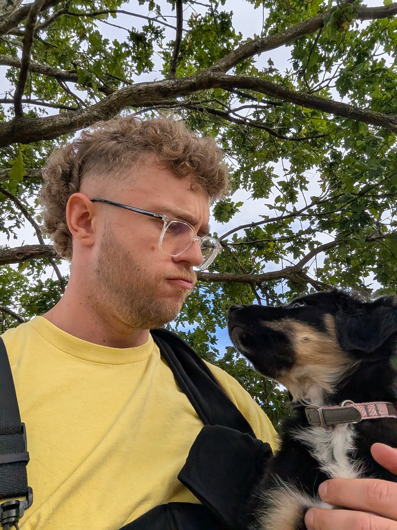 Annie and her owner looking at each other, with oak branches and sky behind them